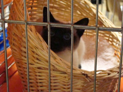20121021_40 (Expo)